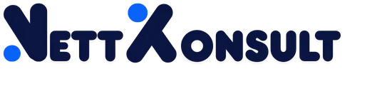 Nettkonsult Site Logo