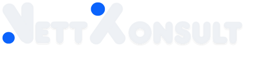 Nett Konsult Logo